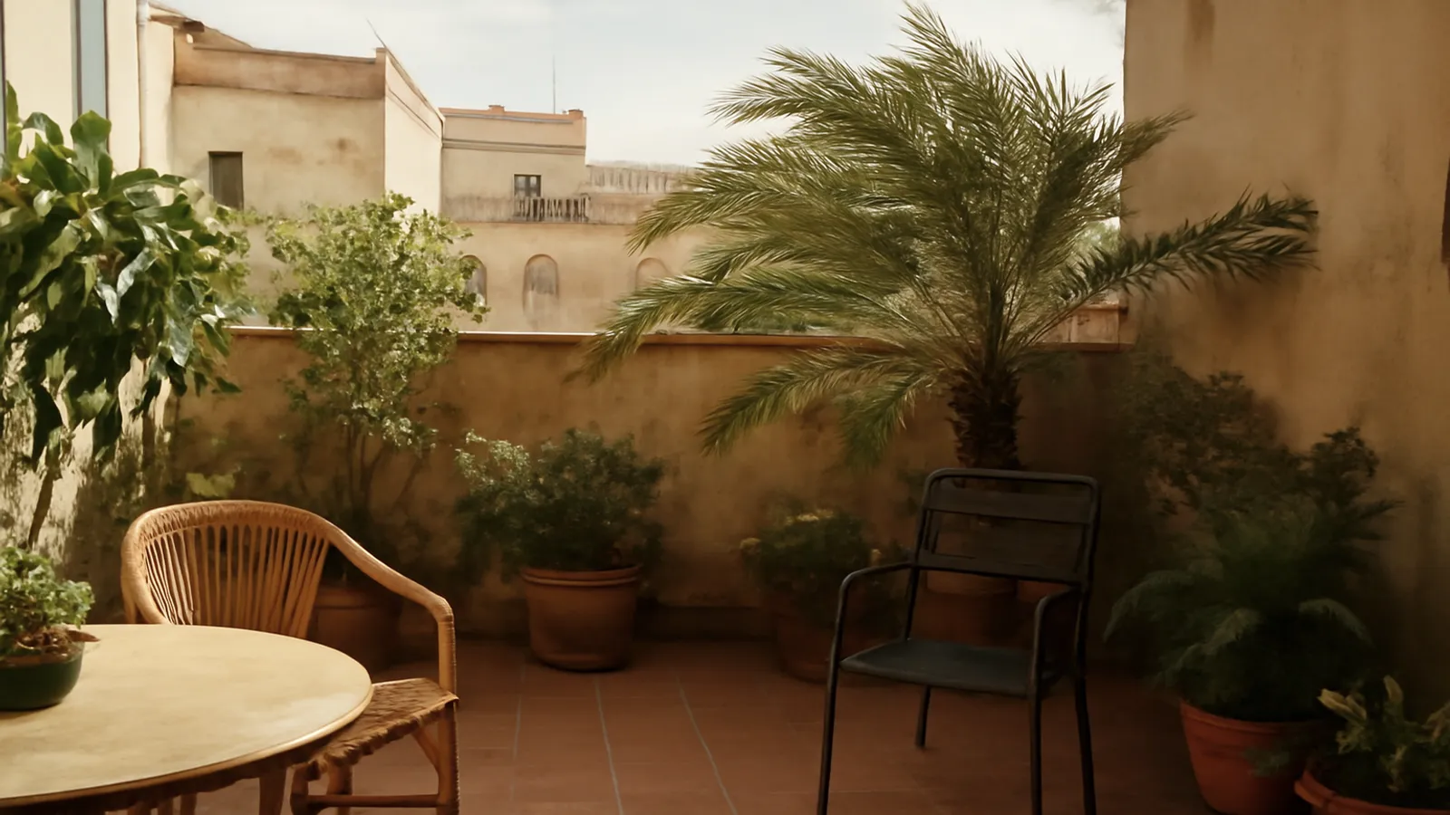 Terraza urbana: plantas que aguantan sol y viento